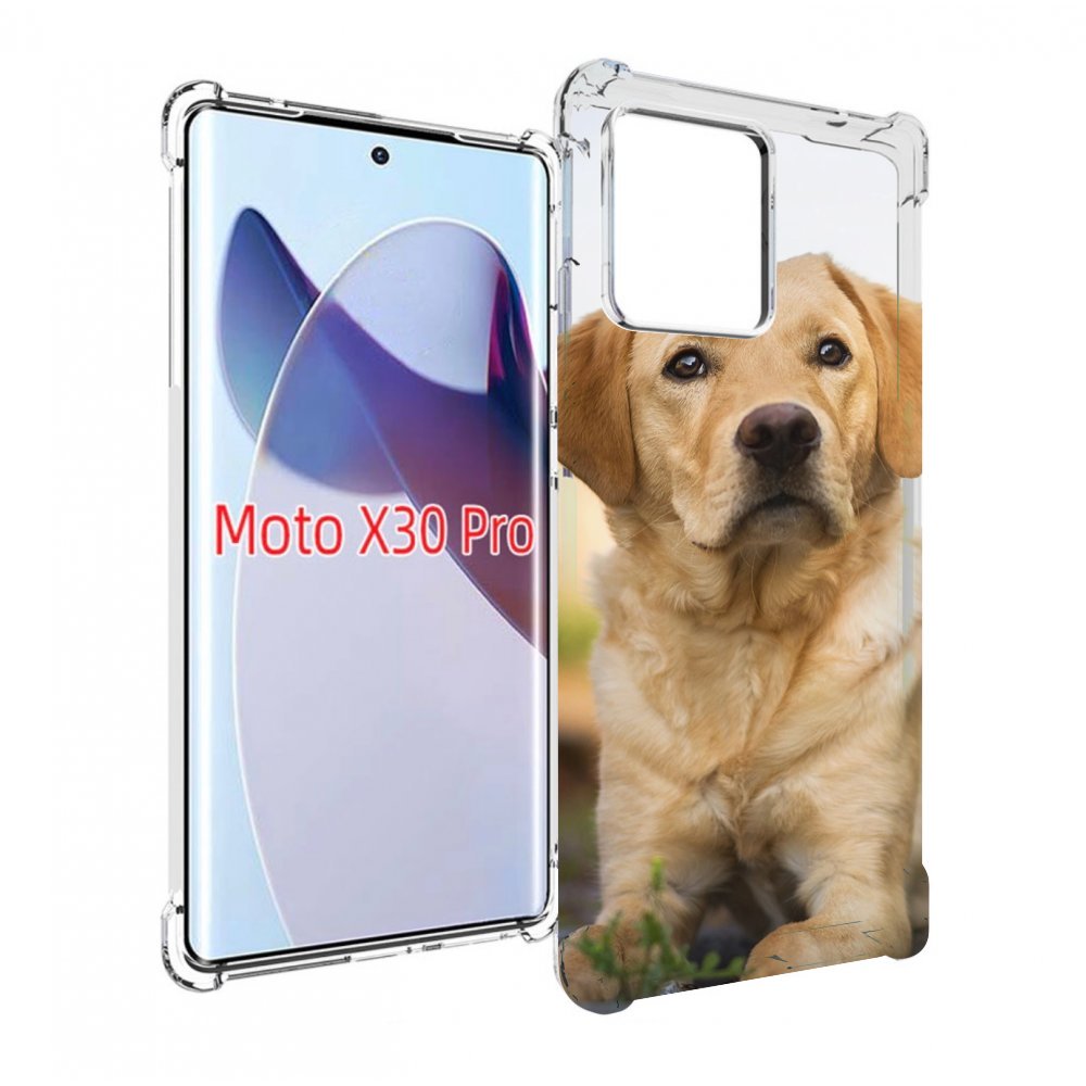 

Чехол MyPads лабрадор ретривер для Motorola Moto X30 Pro, Прозрачный, Tocco