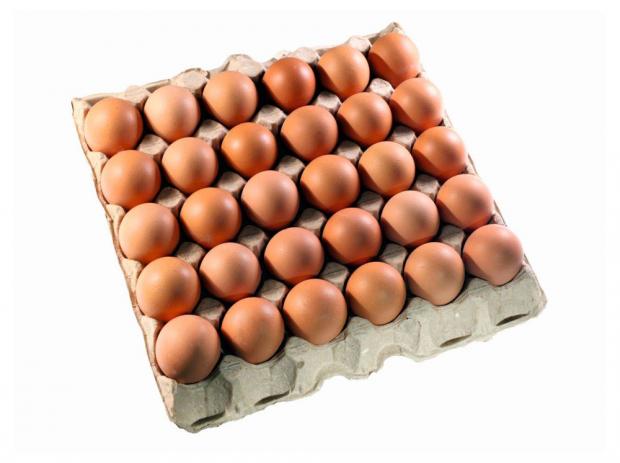 фото Яйца куриные «ударник» отборные с1, 30 шт