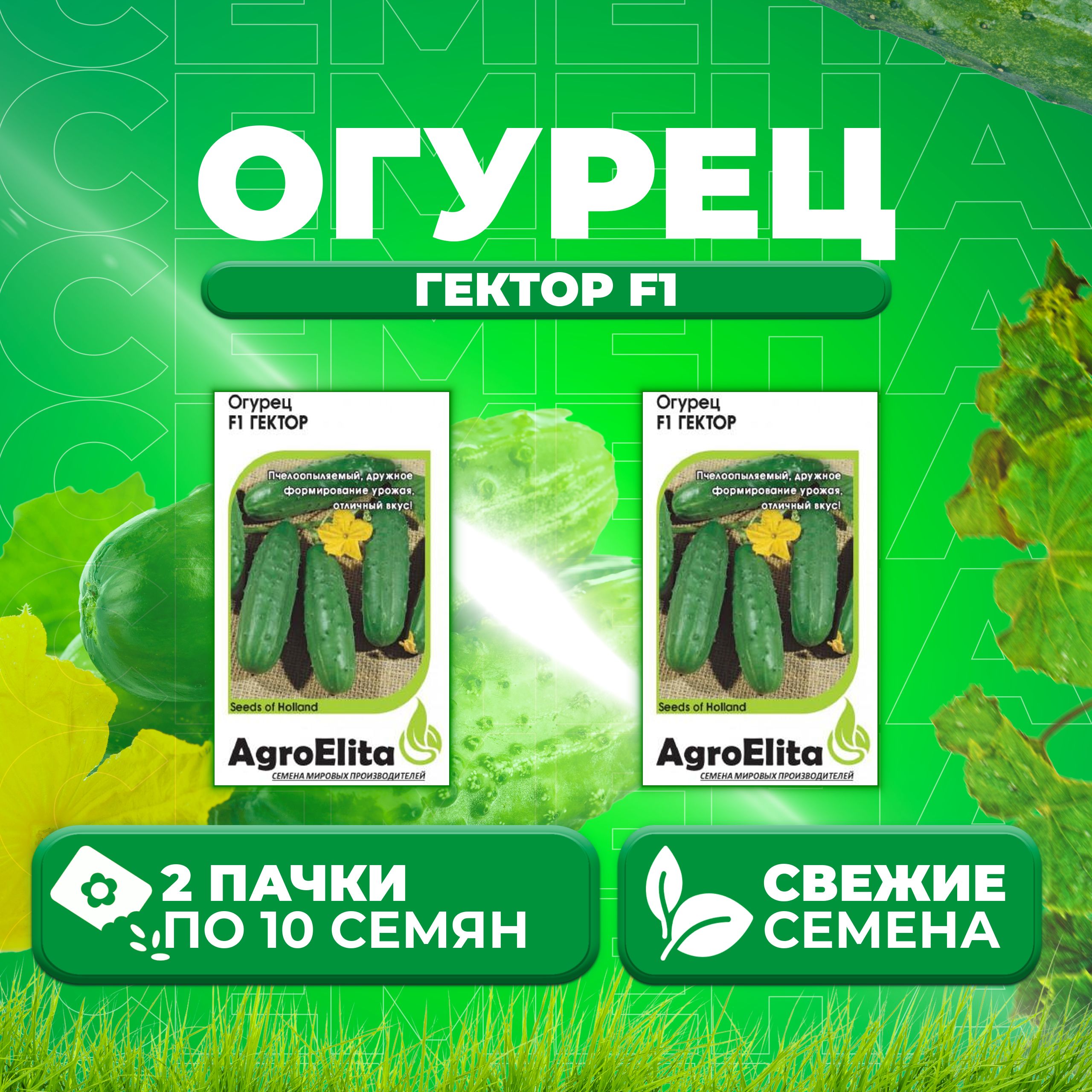 

Семена огурец Гектор F1 AgroElita 11000364-2 2 уп., 11000364