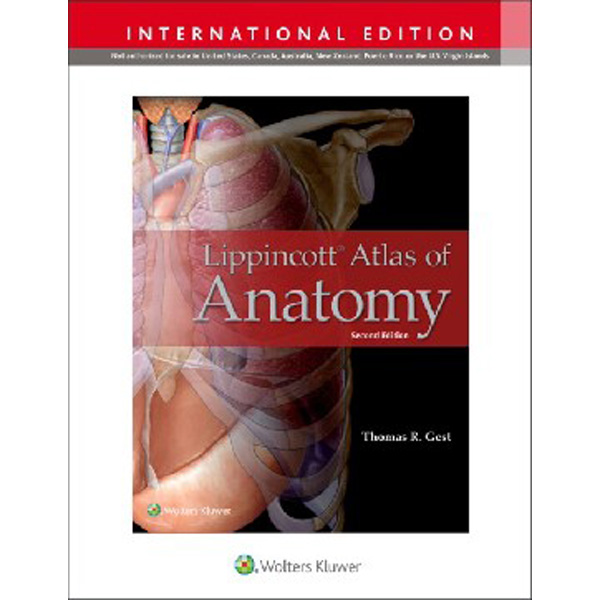 

Lippincott Atlas of Anatomy / Gest