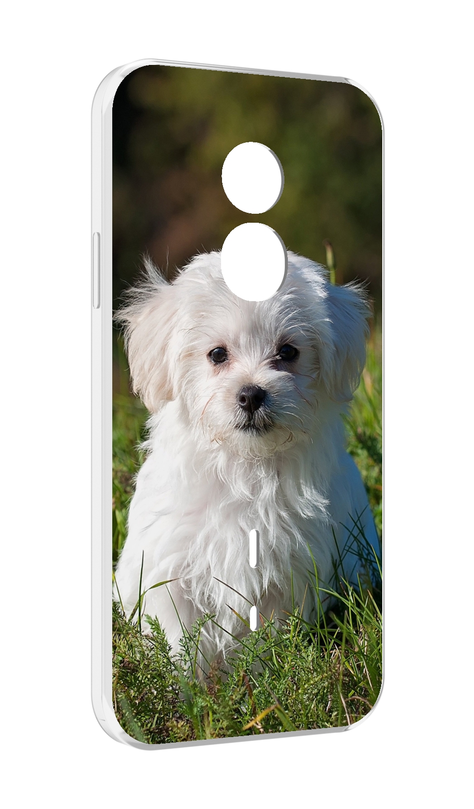 

Чехол MyPads мальтииская-болонка для Doogee S51, Прозрачный, Tocco