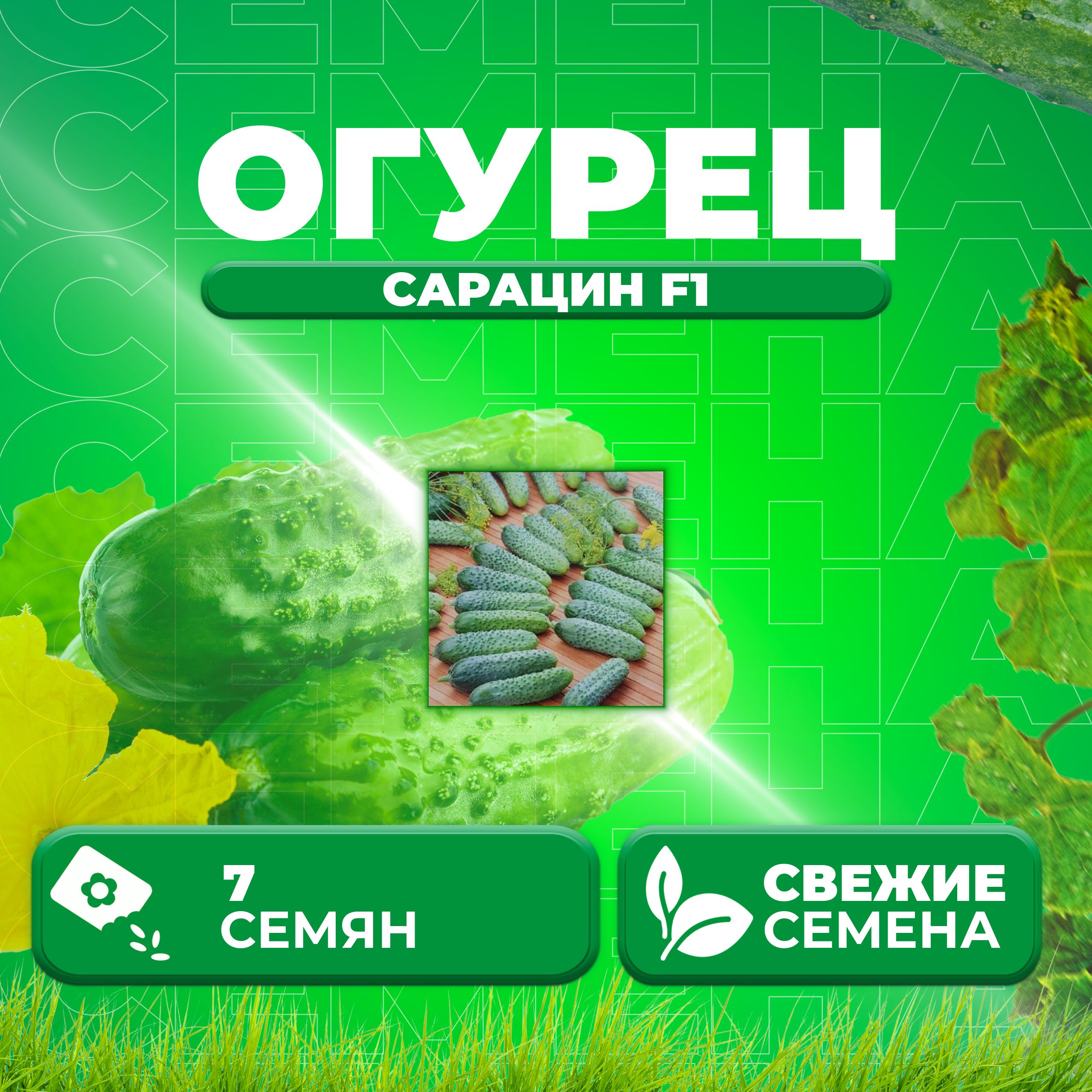 Семена огурец Сарацин F1 Vita Green 1071863356-1 1 уп.