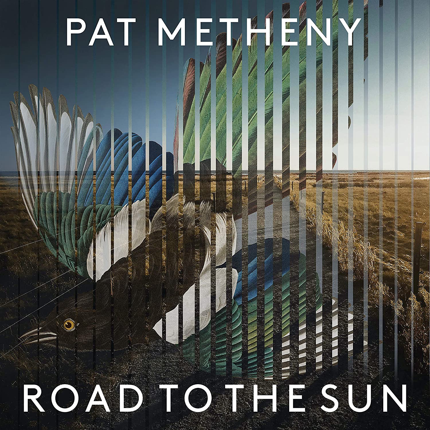 Виниловая пластинка Pat Metheny Road To The Sun (2Винил)