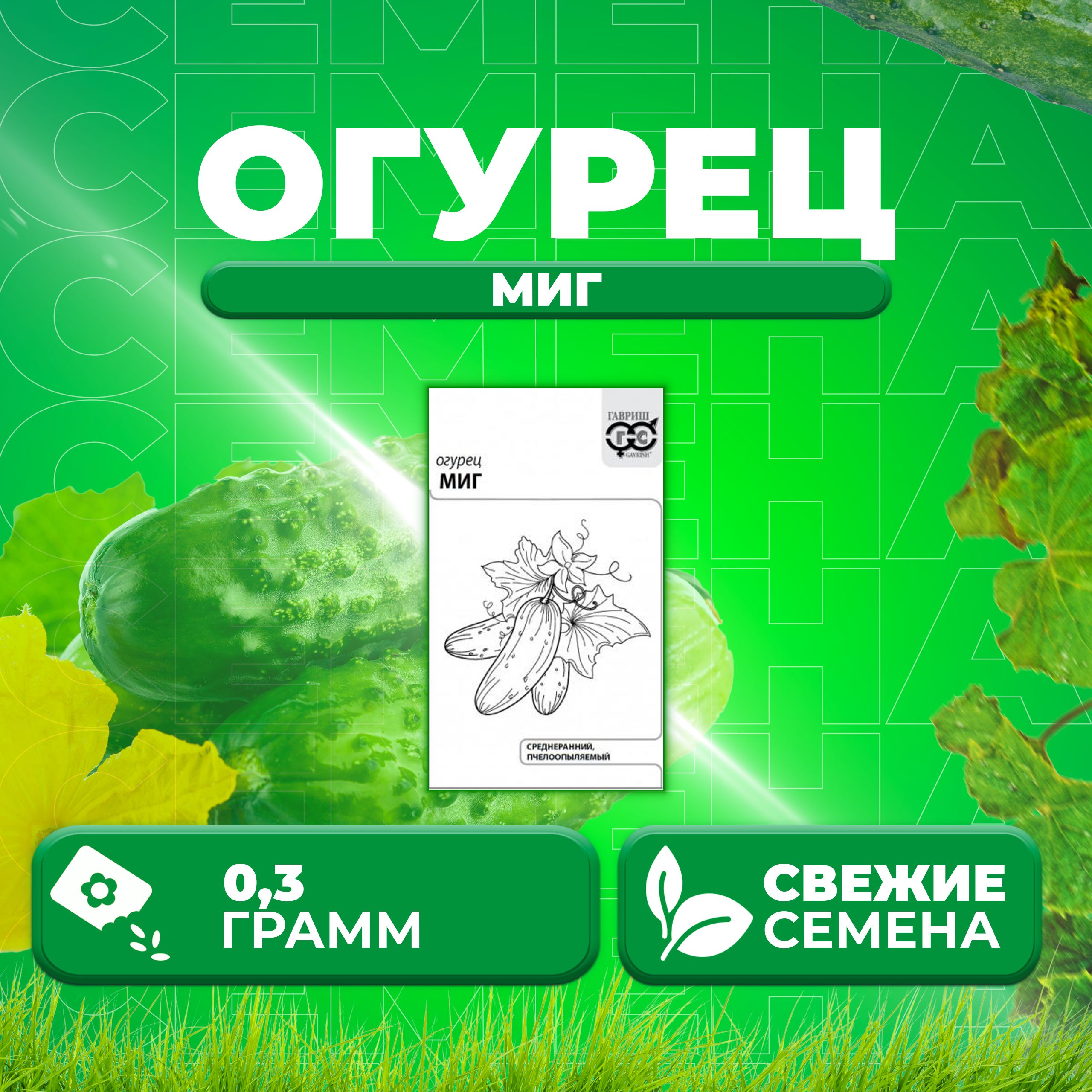 

Семена огурец Миг Гавриш 1071859749-1 1 уп., 1071859749