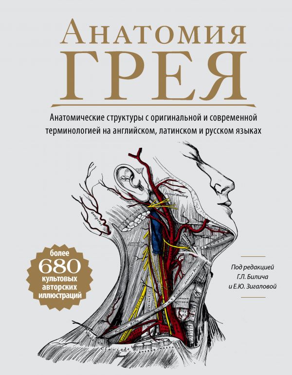 

Анатомия Грея. Анатомические структуры с оригинальной и современной терминологией…