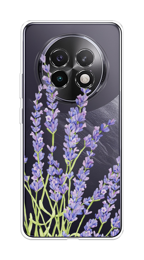 

Чехол на Realme 13+ "Лавандовые стебли", Фиолетовый;зеленый, 2518750-1
