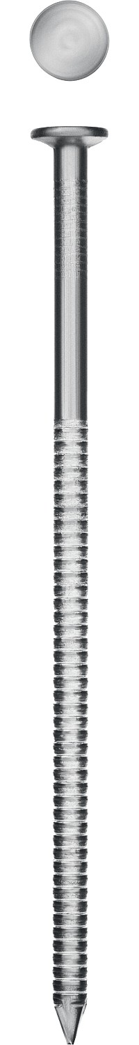 Гвозди ершеные, 70 х 3.1 мм, 5 кг, ЗУБР оцинкованные ершеные гвозди зубр