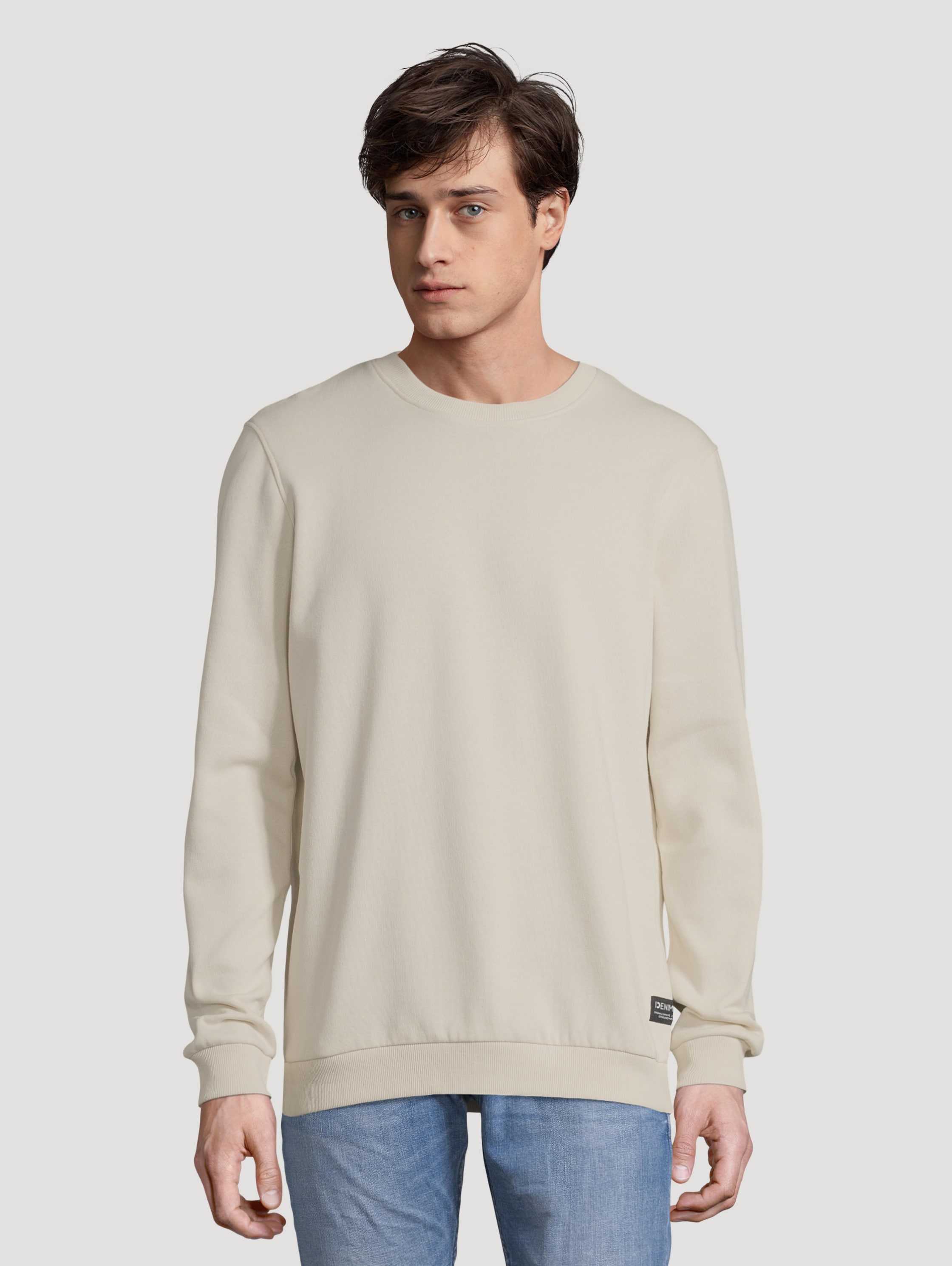 

Свитшот мужской TOM TAILOR 1032020 бежевый S, 1032020