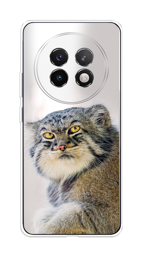 

Чехол на Realme 13+ "Кот манул 1", Серый;белый;желтый, 2518750-1