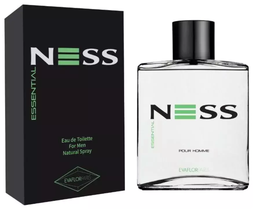 Туалетная вода Мужская Parfums Evaflor Ness Essential 100 мл