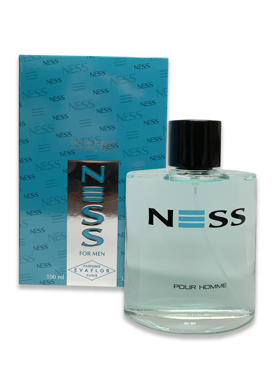 Туалетная вода мужская Parfums Evaflor, Ness For Men 100 мл
