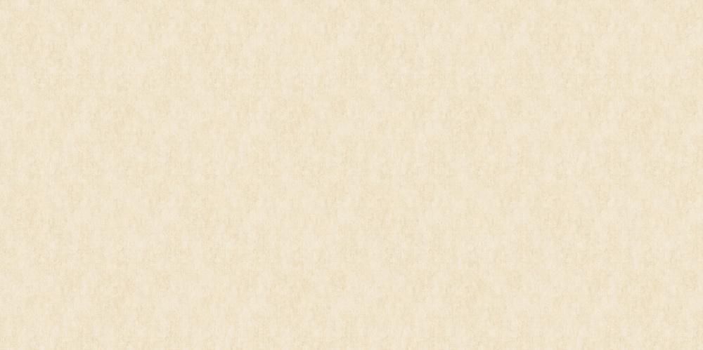 

Обои Bruno Zoff Silver 60111-2 Фольга на флизелине 1,06х10,05 Бежевый, Штукатурка