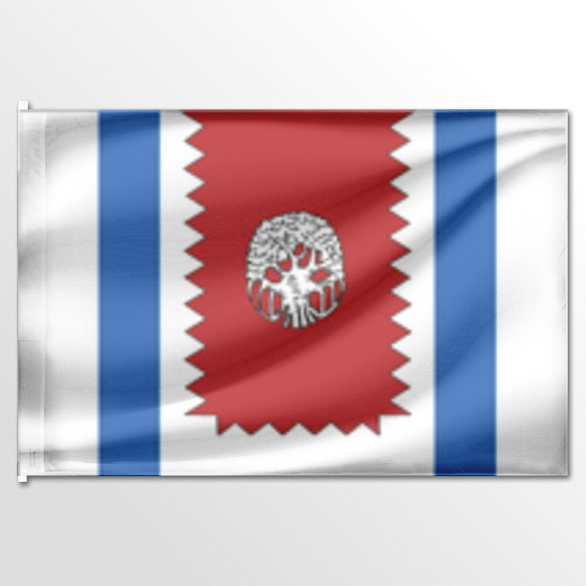 

Флаг ЦТП ФЕНИКС Западного Дегунина 135x90 см, 2884-135x90