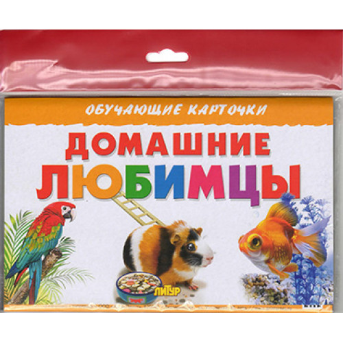 

Карточки. Литур. Домашние любимцы