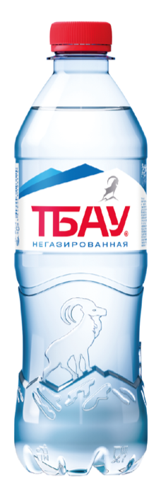 Вода минеральная ТБАУ негазированная столовая 05 л 30₽