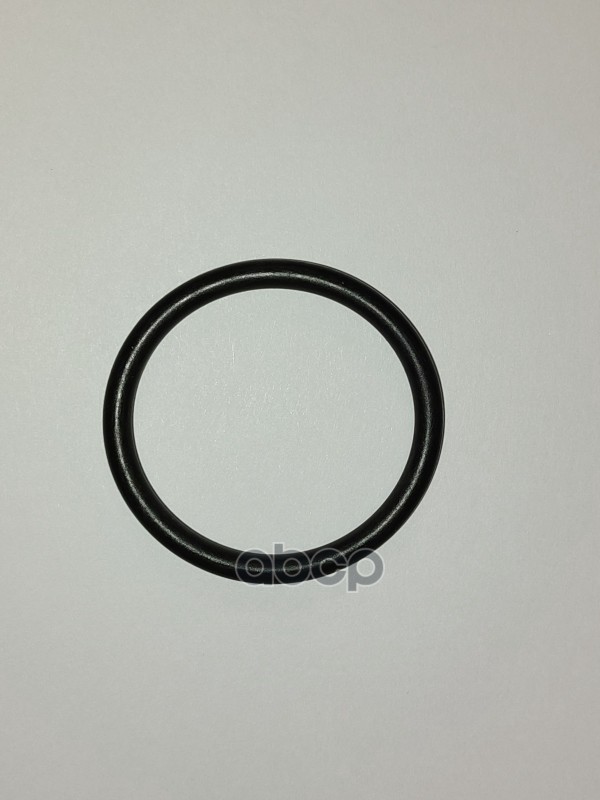 

Кольцо уплотнительное насоса водяного MERCEDES-BENZ арт. A0249976345 64
