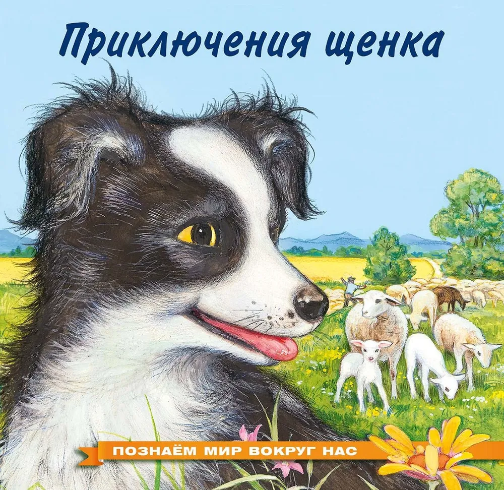 

Книжки в мягкой обложке "Познаем мир вокруг нас" Приключения щенка" 25748