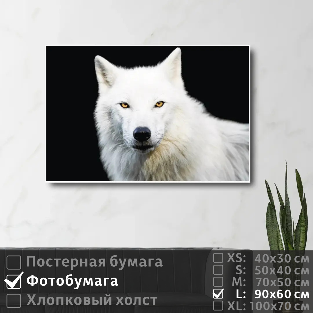 

Постер на фотобумаге ПолиЦентр Дикий зверь волк 90х60 см, ДикийЗверьВолк