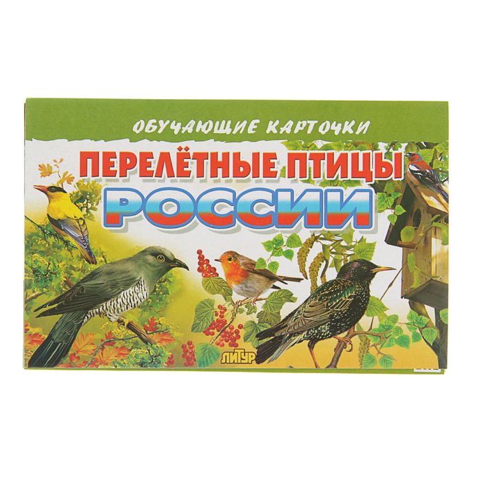 

Обучающие карточки «Перелётные птицы России», 16 карточек, Обучающие карточки