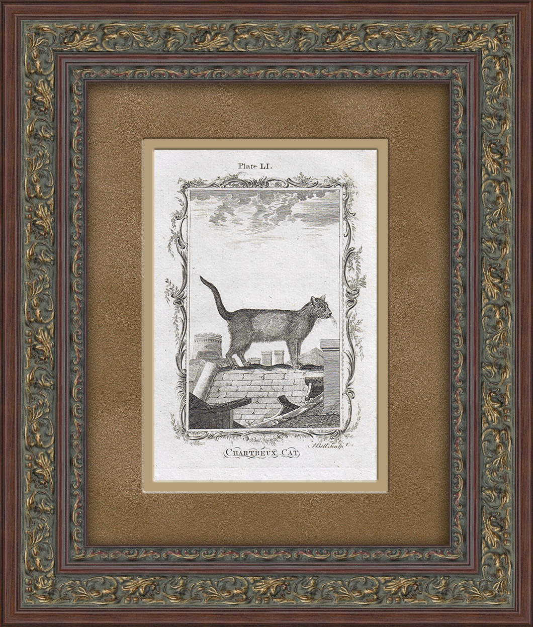

Кот на крыше, старинная гравюра 1785 года