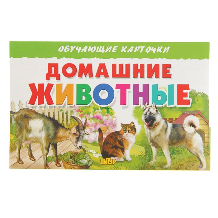 

Обучающие карточки «Домашние животные», Обучающие карточки
