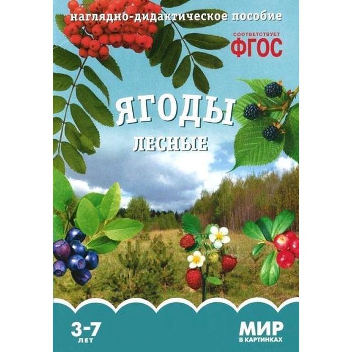

ФГОС Мир в картинках. Ягоды лесные., Мир в картинках