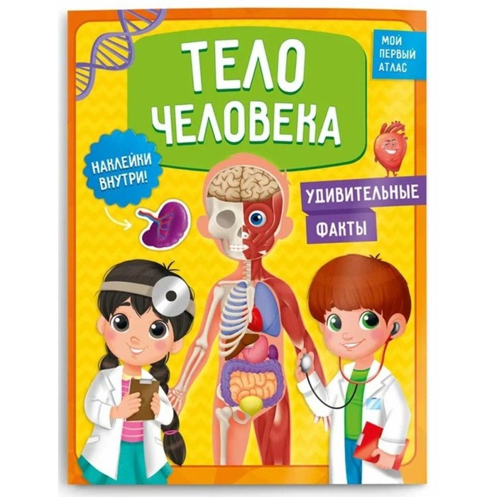

Книга Мой первый атлас с наклейками «Тело человека»