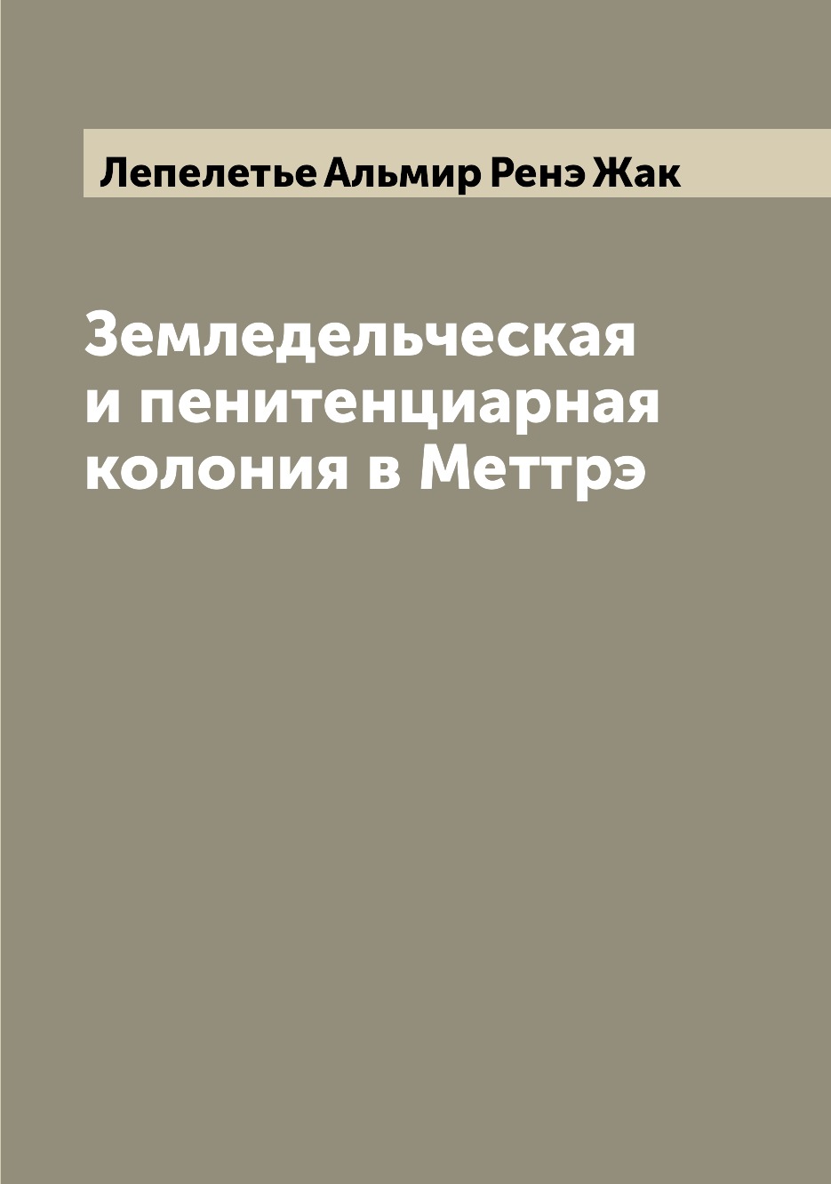 

Книга Земледельческая и пенитенциарная колония в Меттрэ