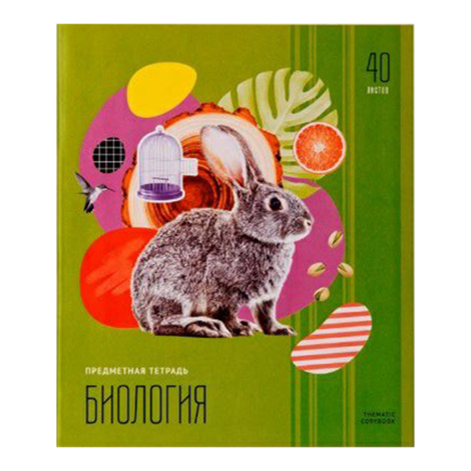 

Тетрадь предметная ArtSpace биология 40 листов 1 шт