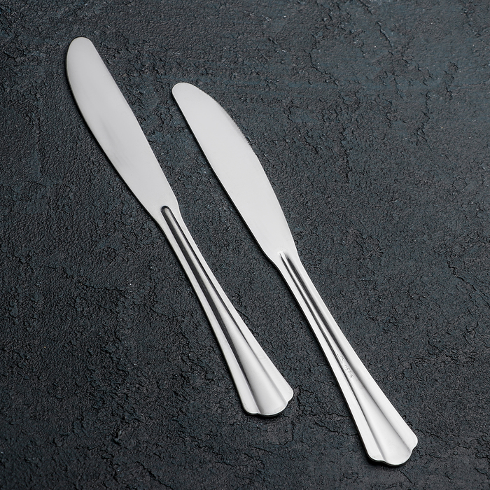 Нож столовый «Новинка», 19,6 см, толщина 1,2 мм, упрощённая обработка (6 шт)