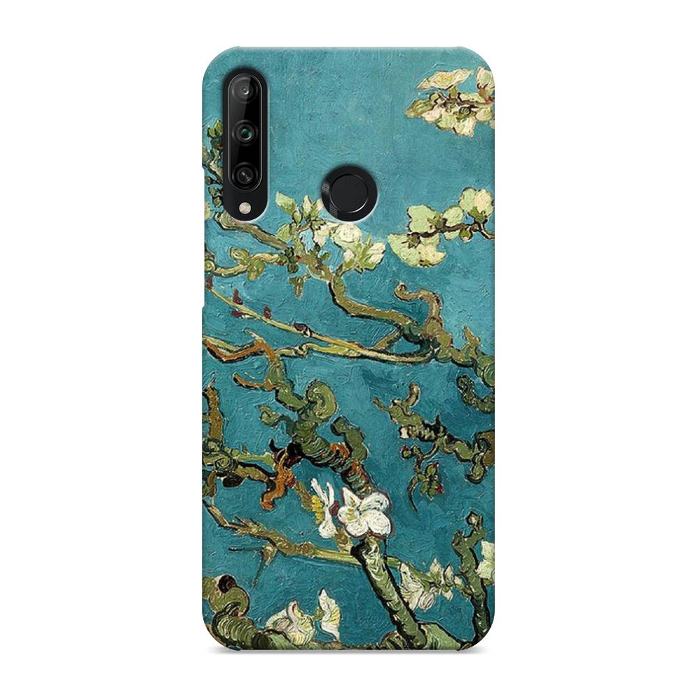 

Чехол Awog "Ван Гог" для Honor 9C, 612520-7
