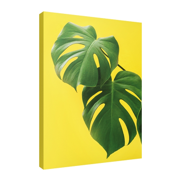 

Постер Divino Art Decor Art-0157, Art-0157 Листья монстеры 30х40