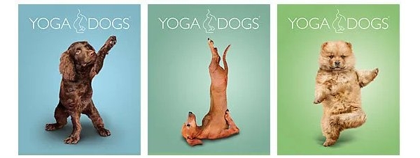 

Тетрадь общая в линию Yoga dogs, 40 л., 1 шт.