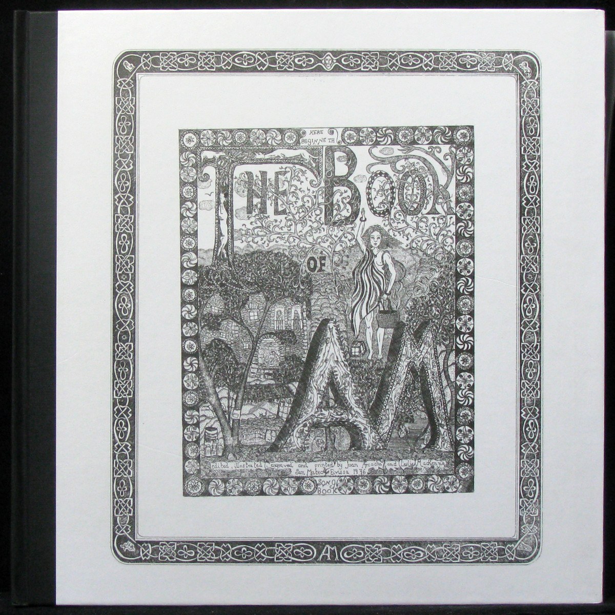 

LP Can Am Des Puig - Book Of AM, Pts. I & II (2LP,coverbook) Wah-Wah (309454)