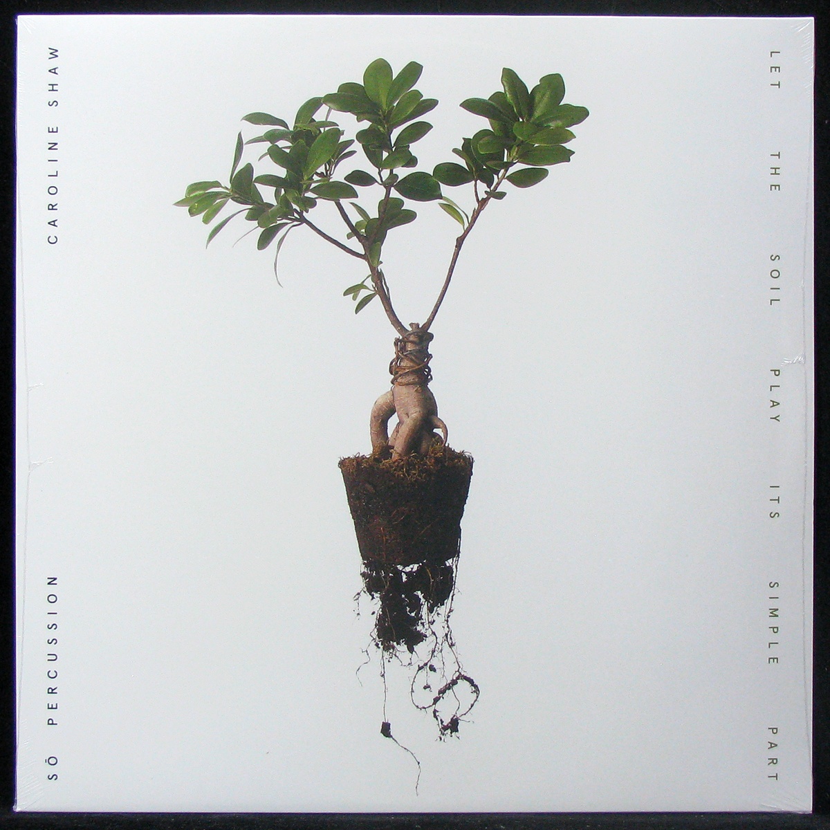 

Caroline Shaw - Let The Soil Play Its Simple Part (coloured vinyl) Nonesuch (307579)