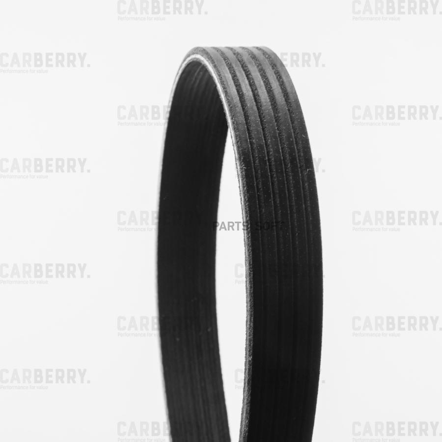 

Ремень Поликлиновой CARBERRY арт. 5PK491