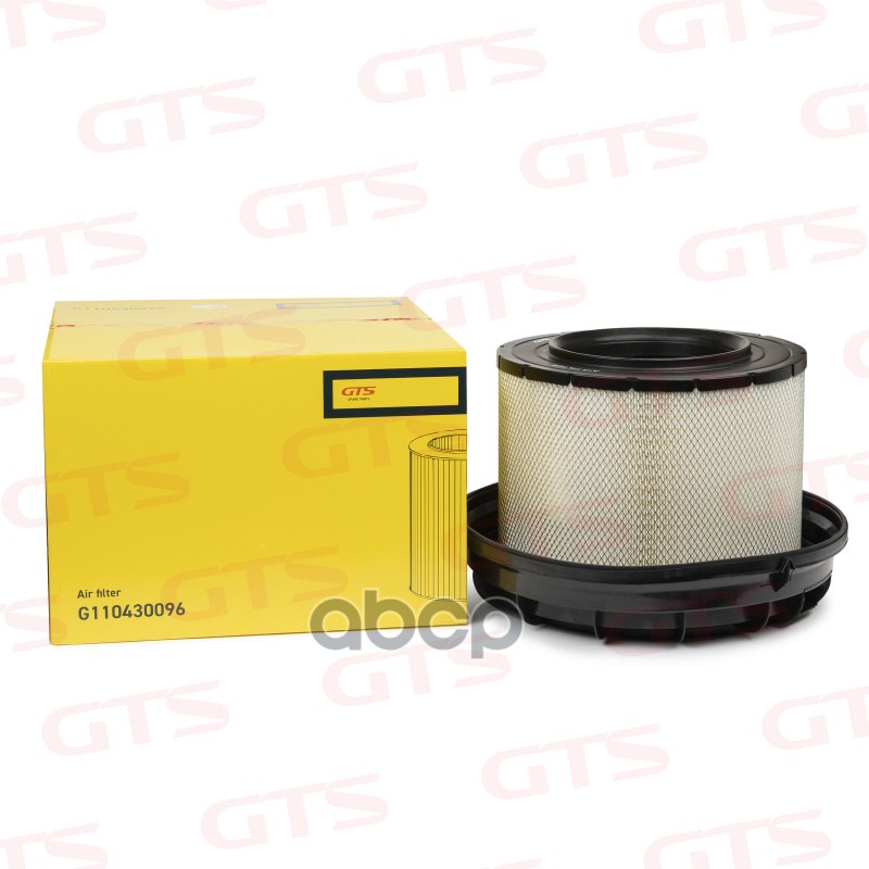 Фильтр Воздушный Двс/Mercedes-Benz GTS Spare Parts арт. G110430096