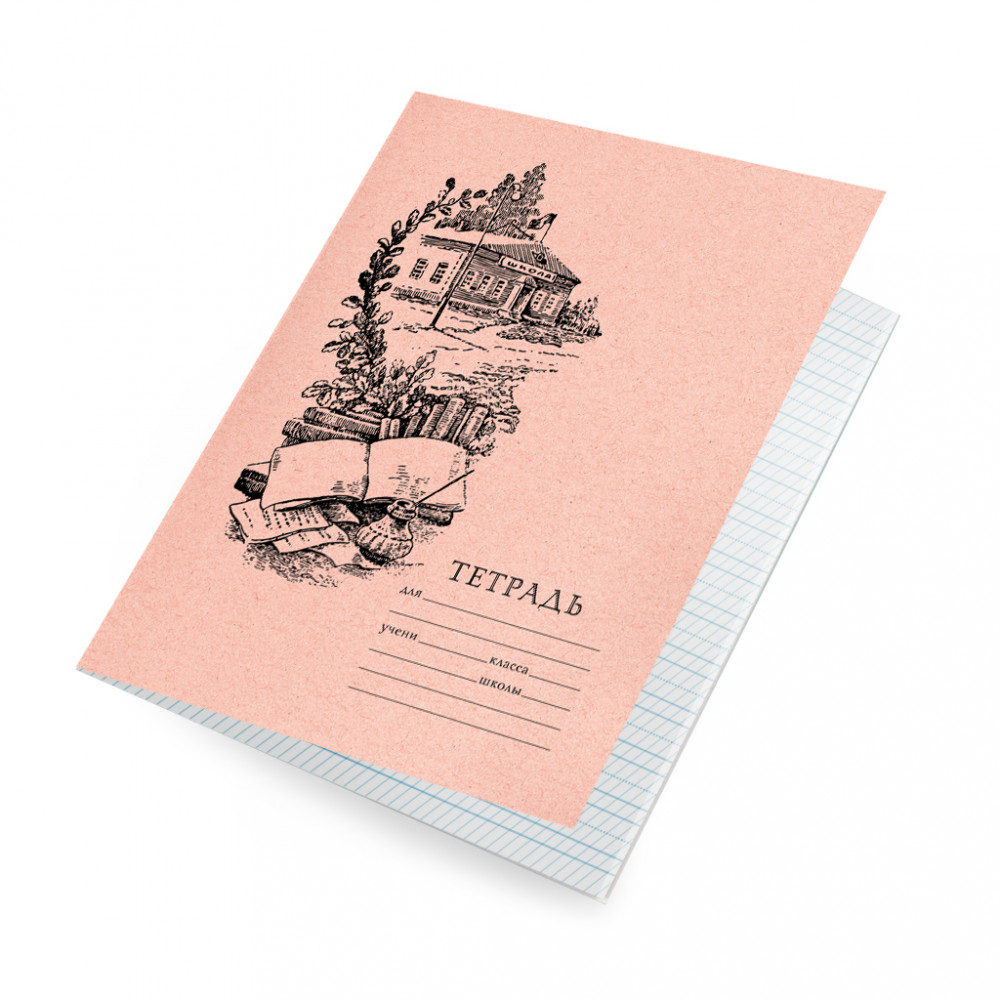 Комплект тетрадей Тион линовка №2 розовая обложка 12 л, 5 шт