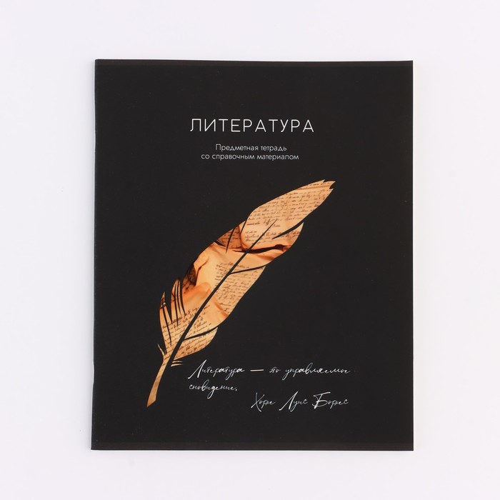 

Предметная тетрадь ArtFox STUDY Силуэт Литература А5 48 л