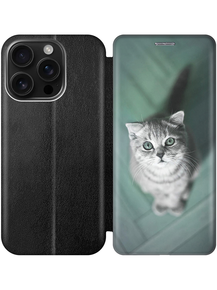 

Чехол-книжка на Apple iPhone 16 Pro с принтом "Котик на зеленом полу" черный, Черный;зеленый;серый, 785197711