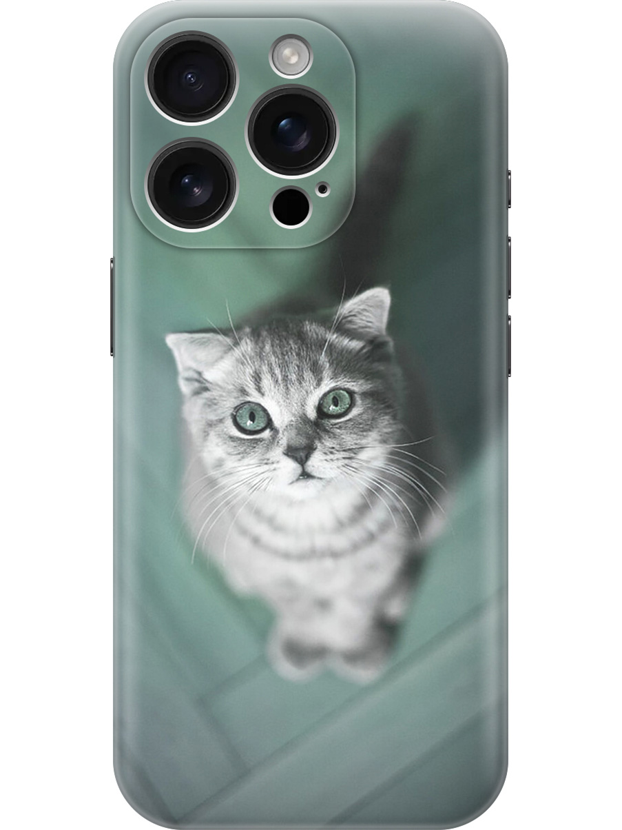 

Силиконовый чехол на Apple iPhone 16 Pro с принтом "Котик на зеленом полу", Прозрачный;зеленый;серый, 785197711