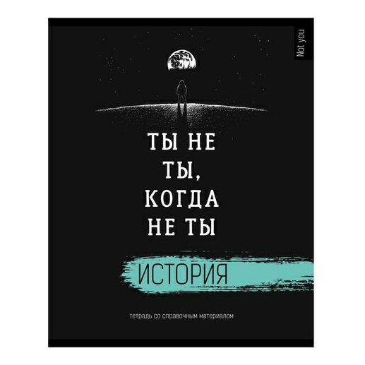 

Тетрадь предметная BG Не ты история 48 листов 1 шт, Не ты