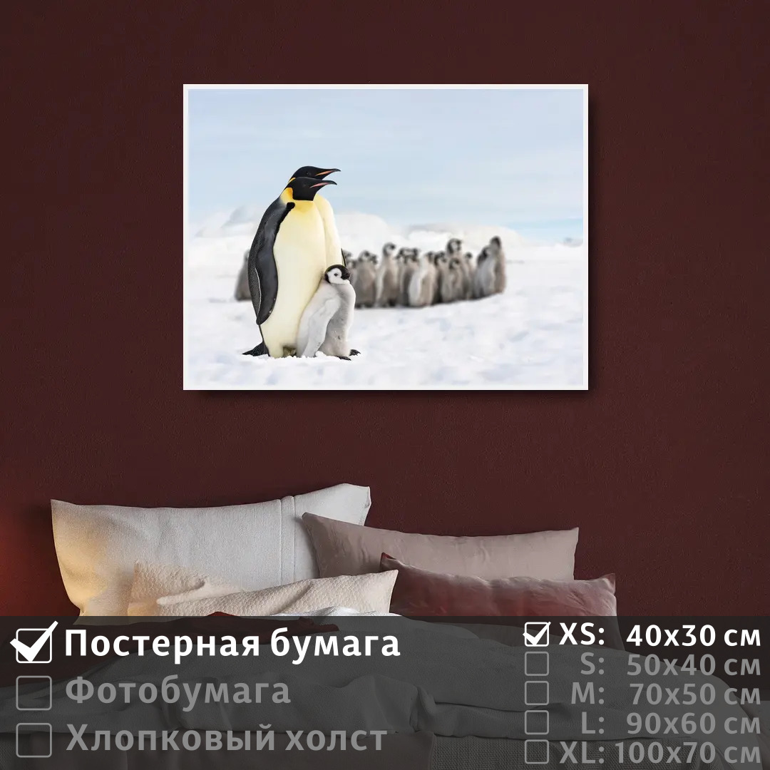 

Постер на стену ПолиЦентр Про семью пингвинов 40х30 см, ПроСемьюПингвинов