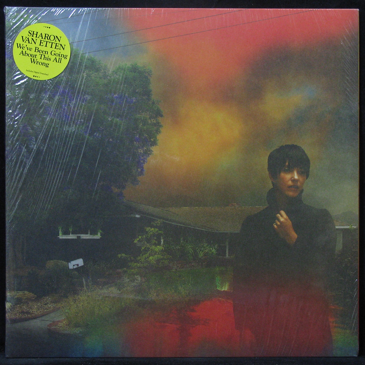 

Sharon Van Etten - We've Been Going About This All Wrong Jagjaguwar (306477)