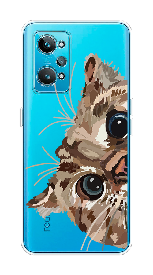 

Чехол на Realme GT 2 "Любопытный кот", Коричневый;синий;черный, 258550-1