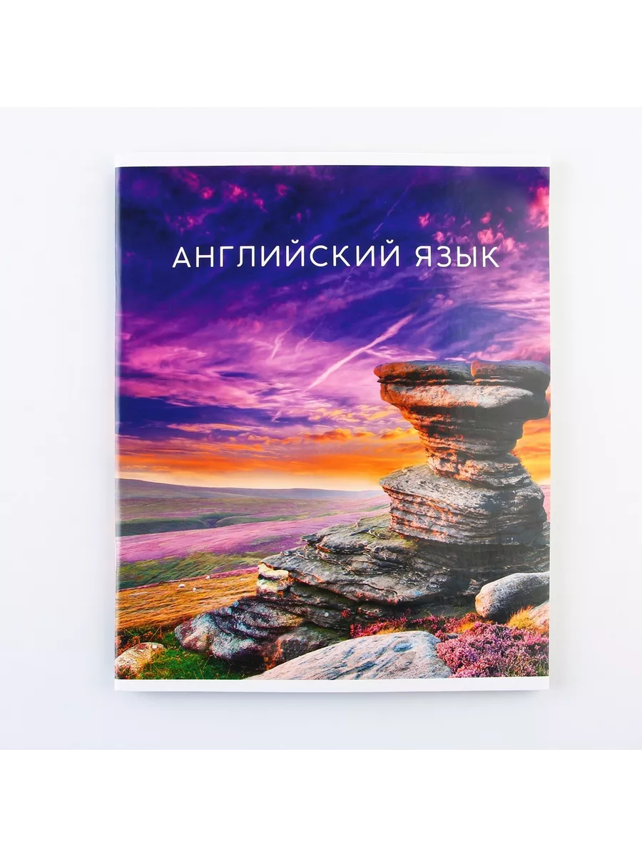 

Тетрадь предметная Английский Язык, школьная, 48 листов, tetr-ysai263, Тетрадь в клетку