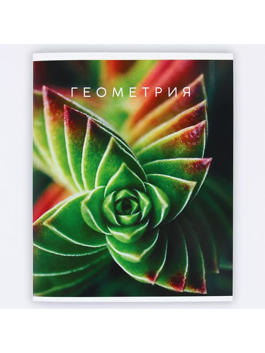 

Тетрадь предметная Геометрия, школьная, 48 листов, tetr-ysai259, Тетрадь в клетку