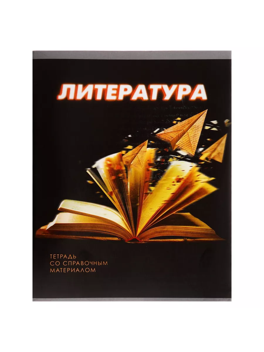 

Тетрадь предметная Литература, школьная, 48 листов, tetr-ysai226, Тетрадь в клетку