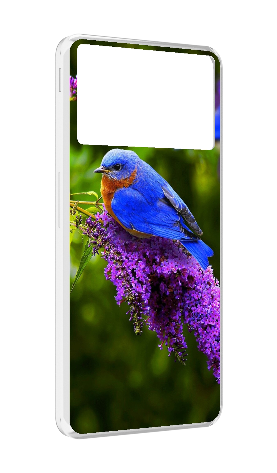 

Чехол MyPads Птица-сиреневая для ZTE Nubia Z40S Pro, Прозрачный, Tocco