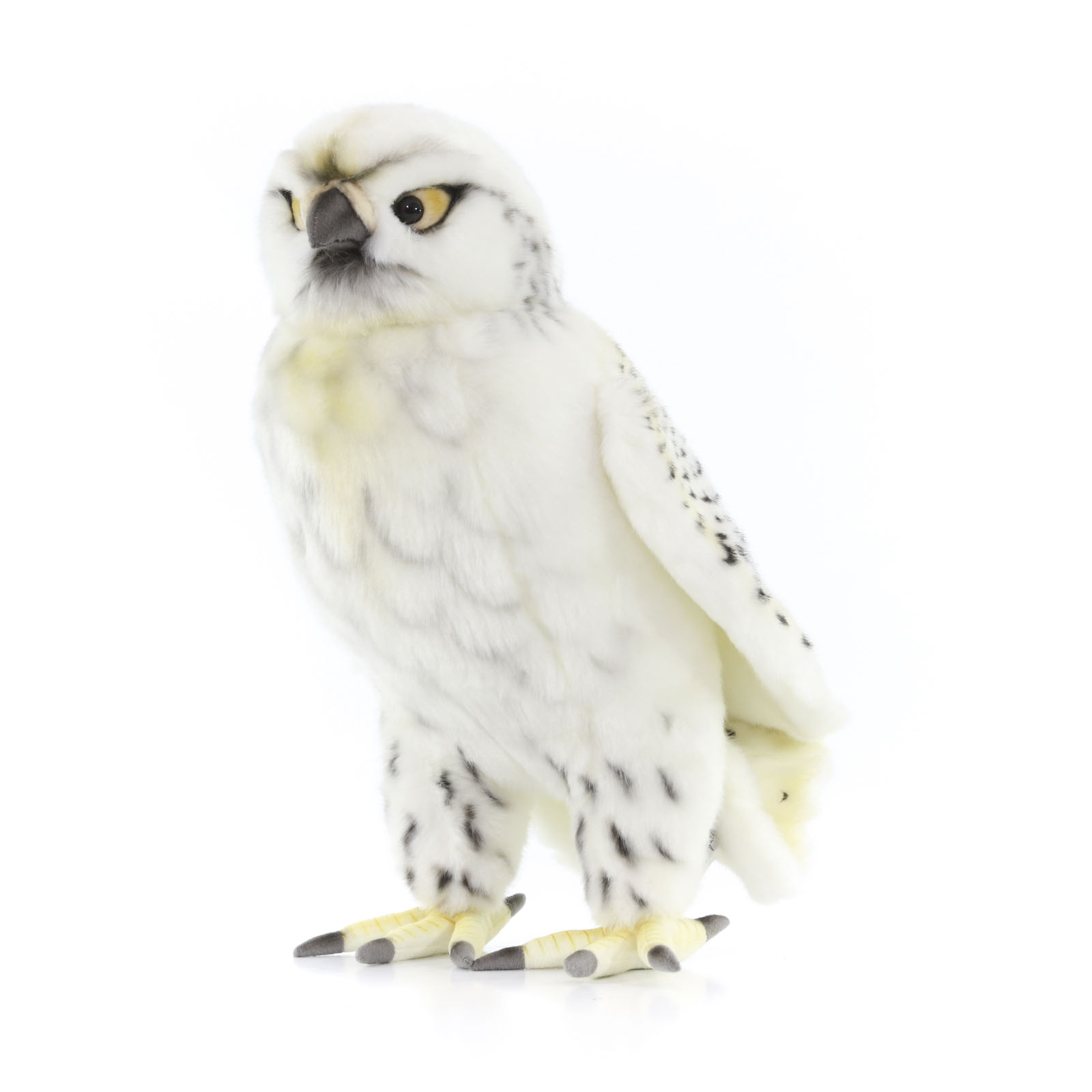 Реалистичная мягкая игрушка Hansa Creation птица сокол белый, 35 см 4708С реалистичная мягкая игрушка hansa creation персидский кот табби рыже белый 45см